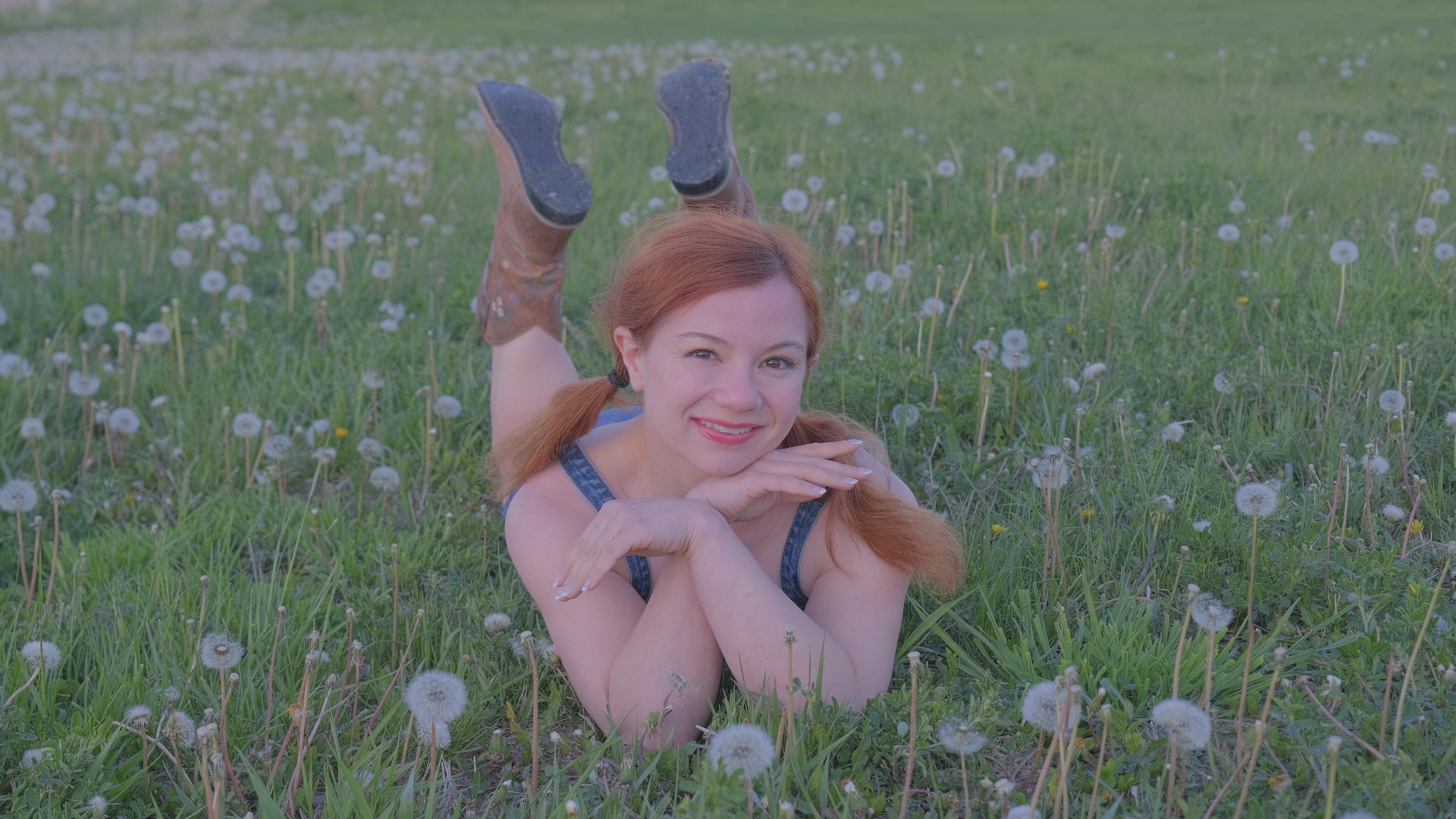 A Field of Alice, image 6