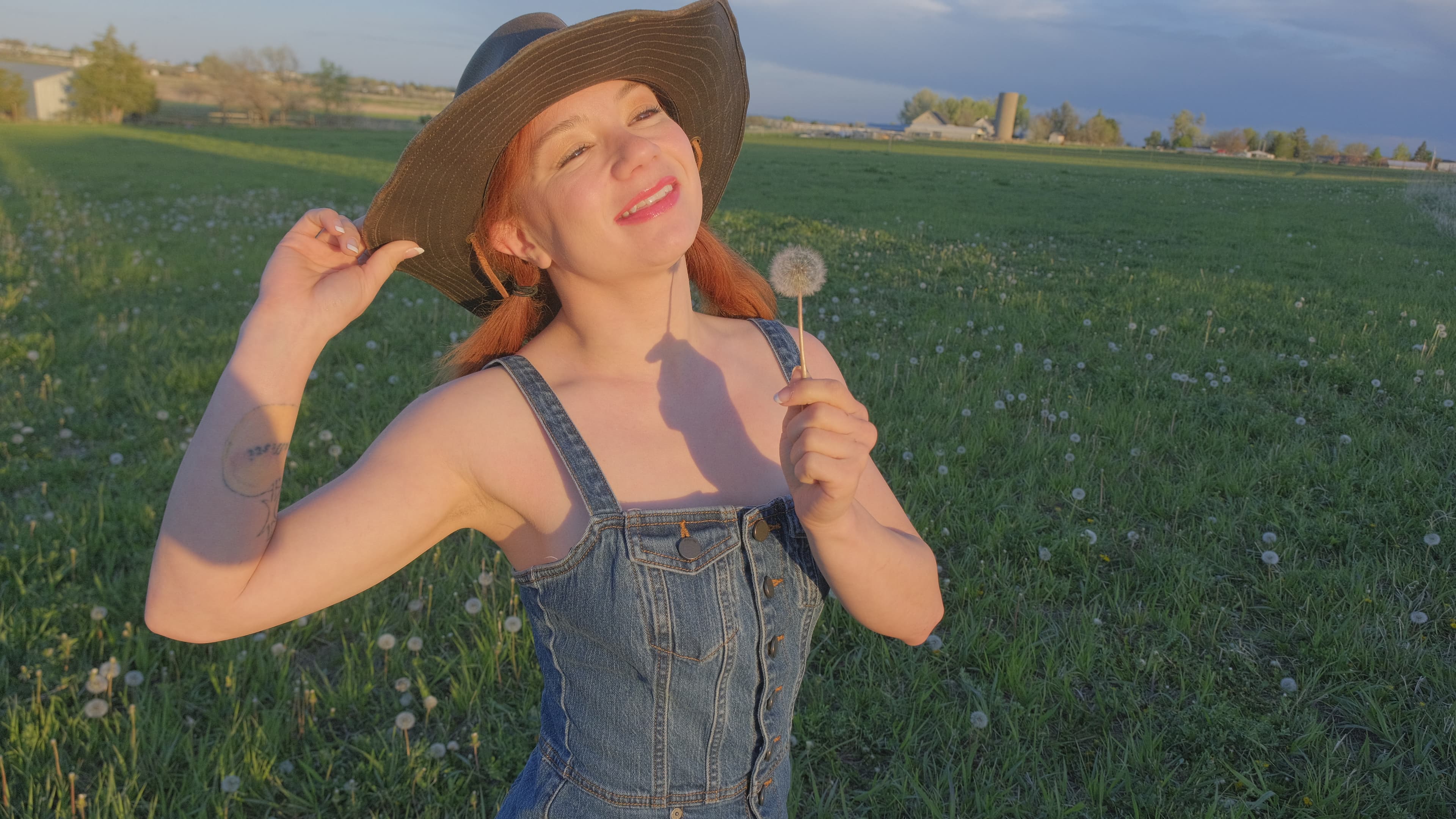 A Field of Alice, image 4