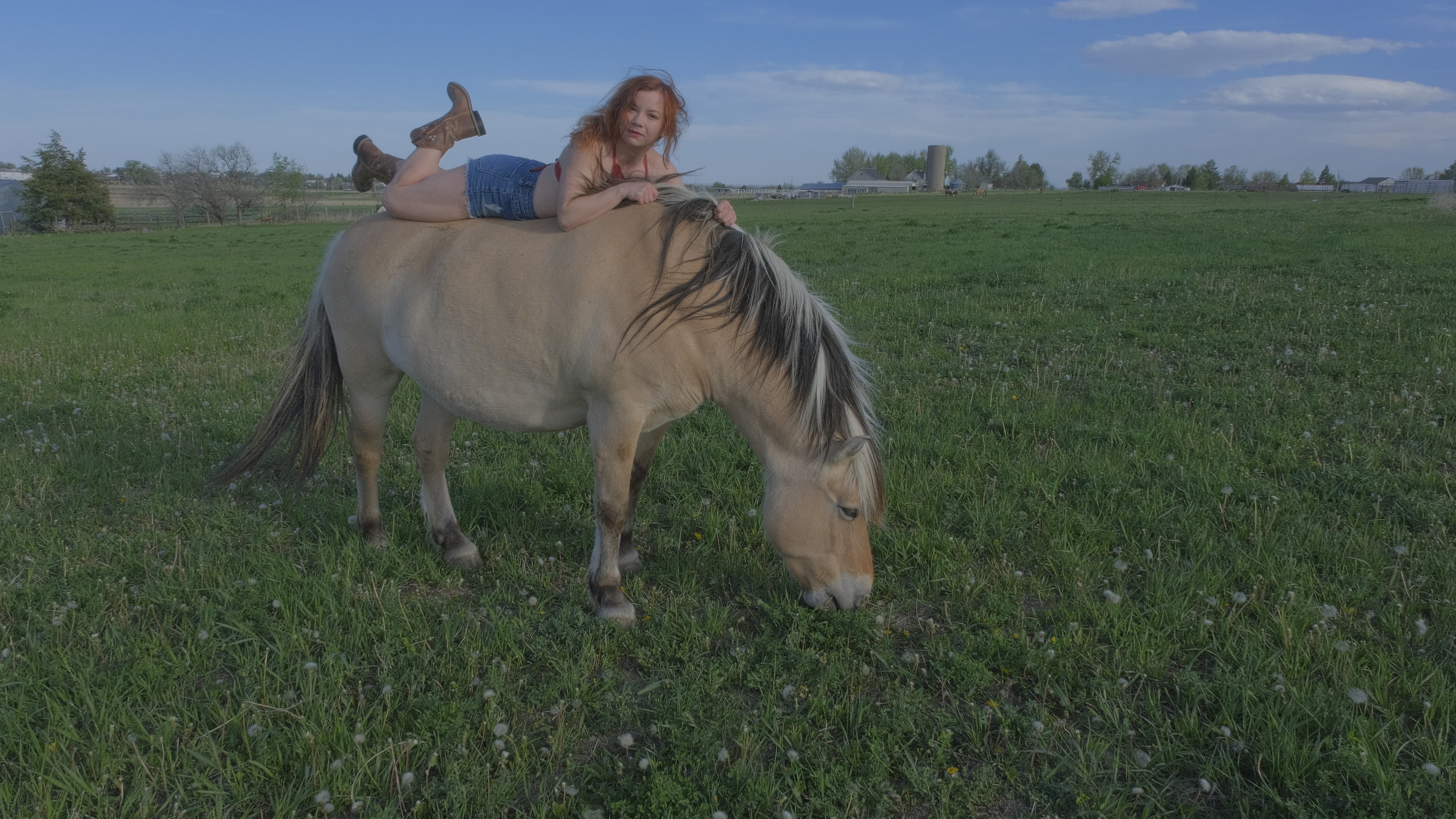 All American, No Saddle, image 5