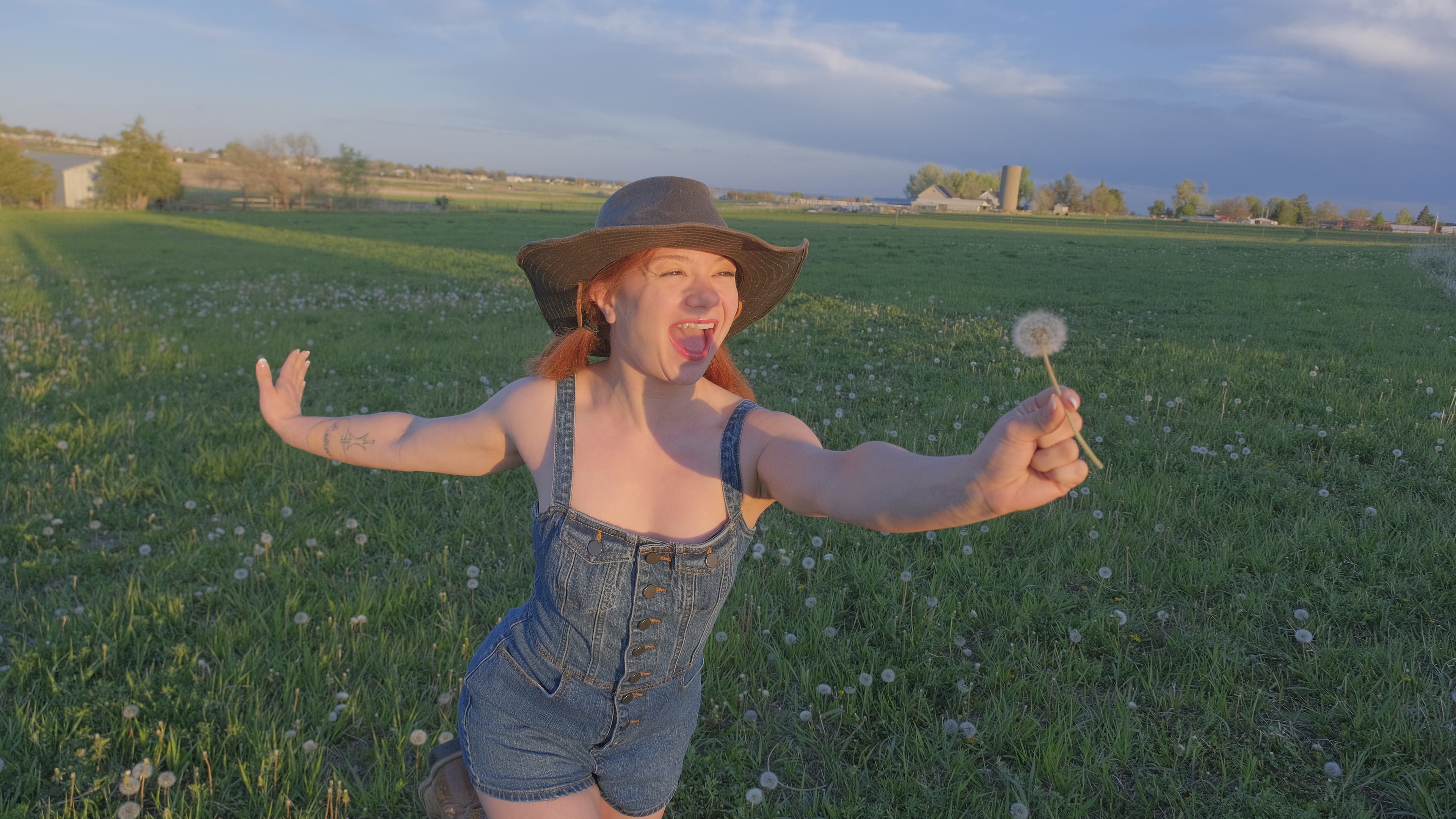 A Field of Alice, image 5