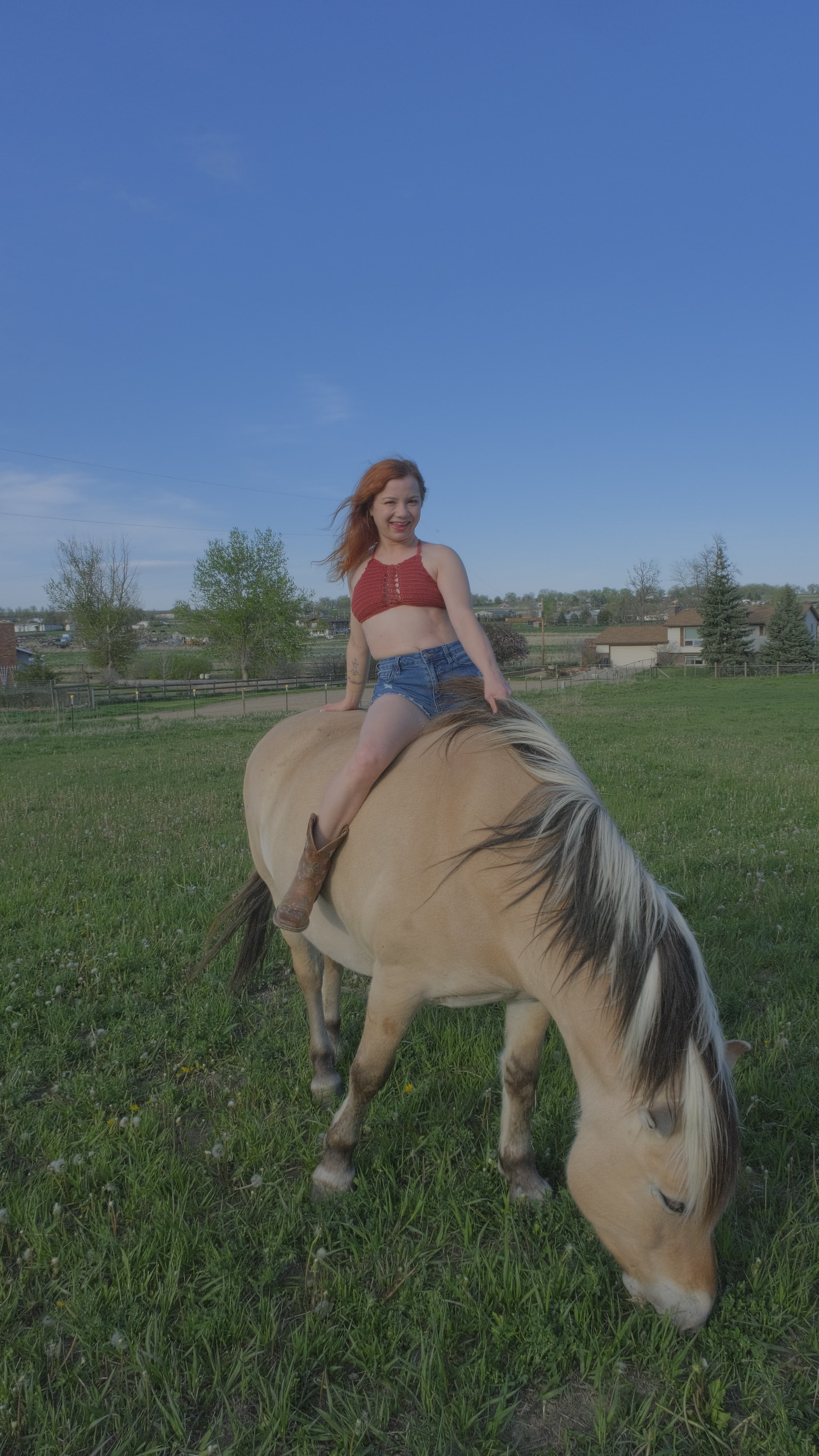 All American, No Saddle, image 6