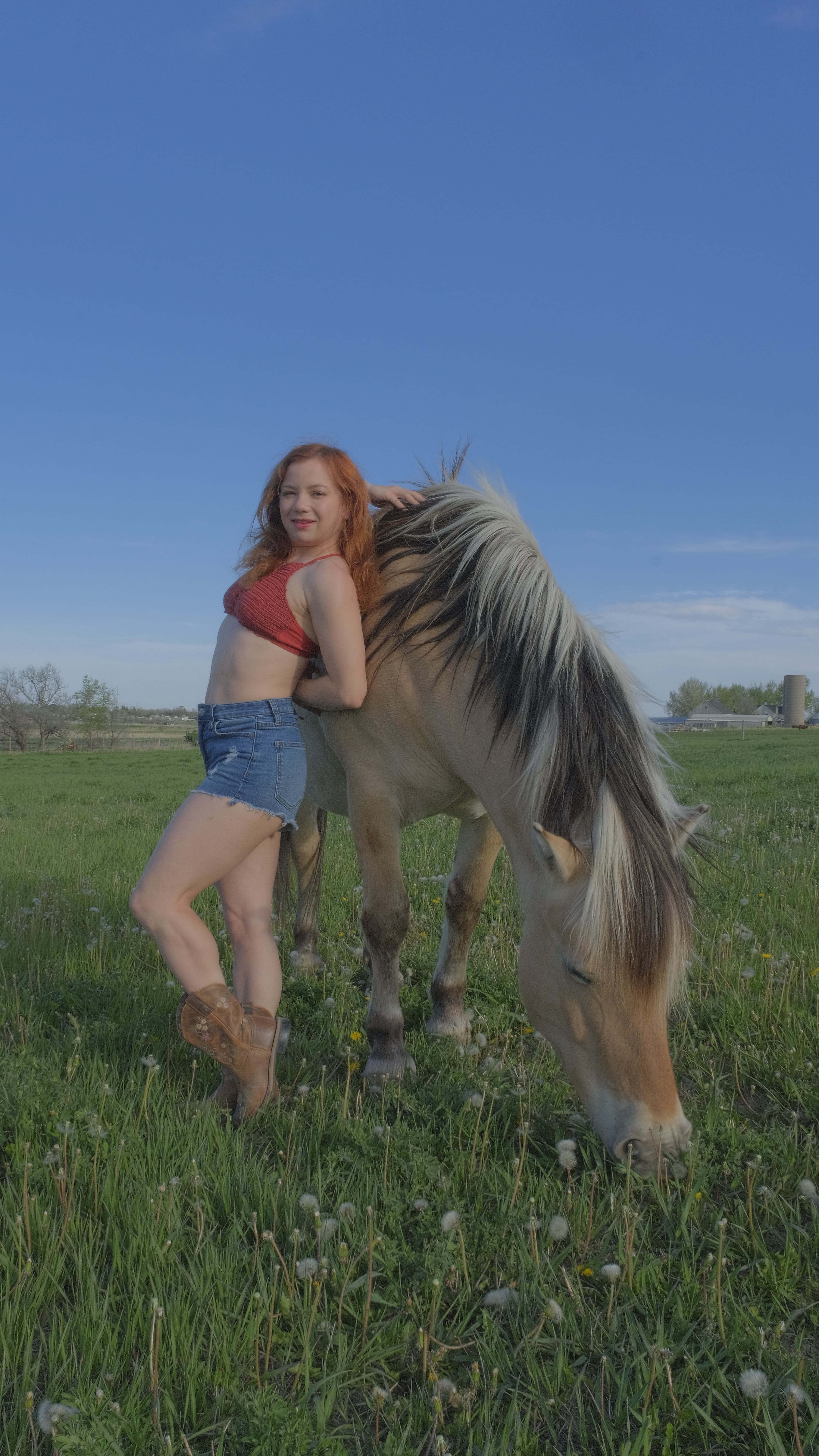 All American, No Saddle, image 2