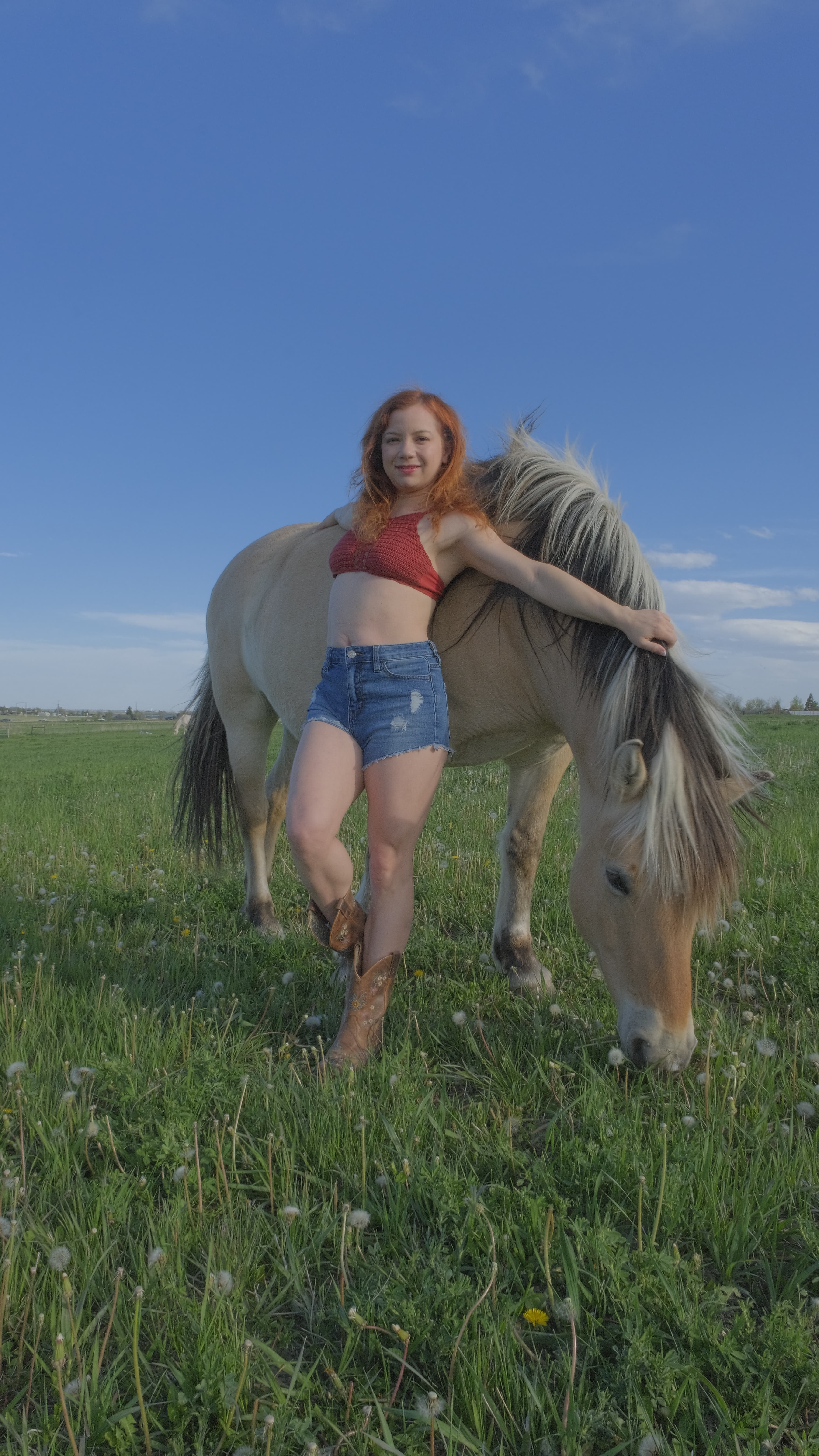 All American, No Saddle, image 4